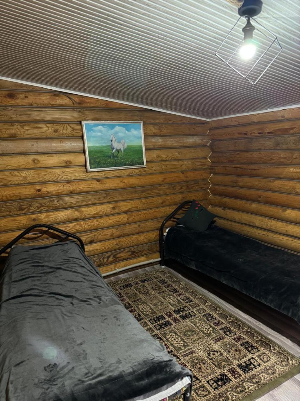 Kolsay Kazakh Village Saty エクステリア 写真