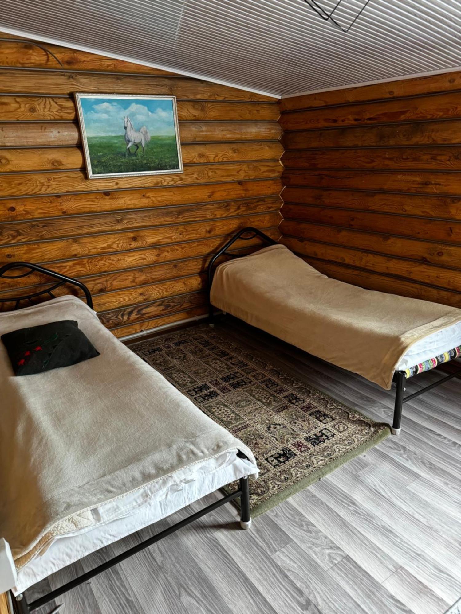Kolsay Kazakh Village Saty エクステリア 写真